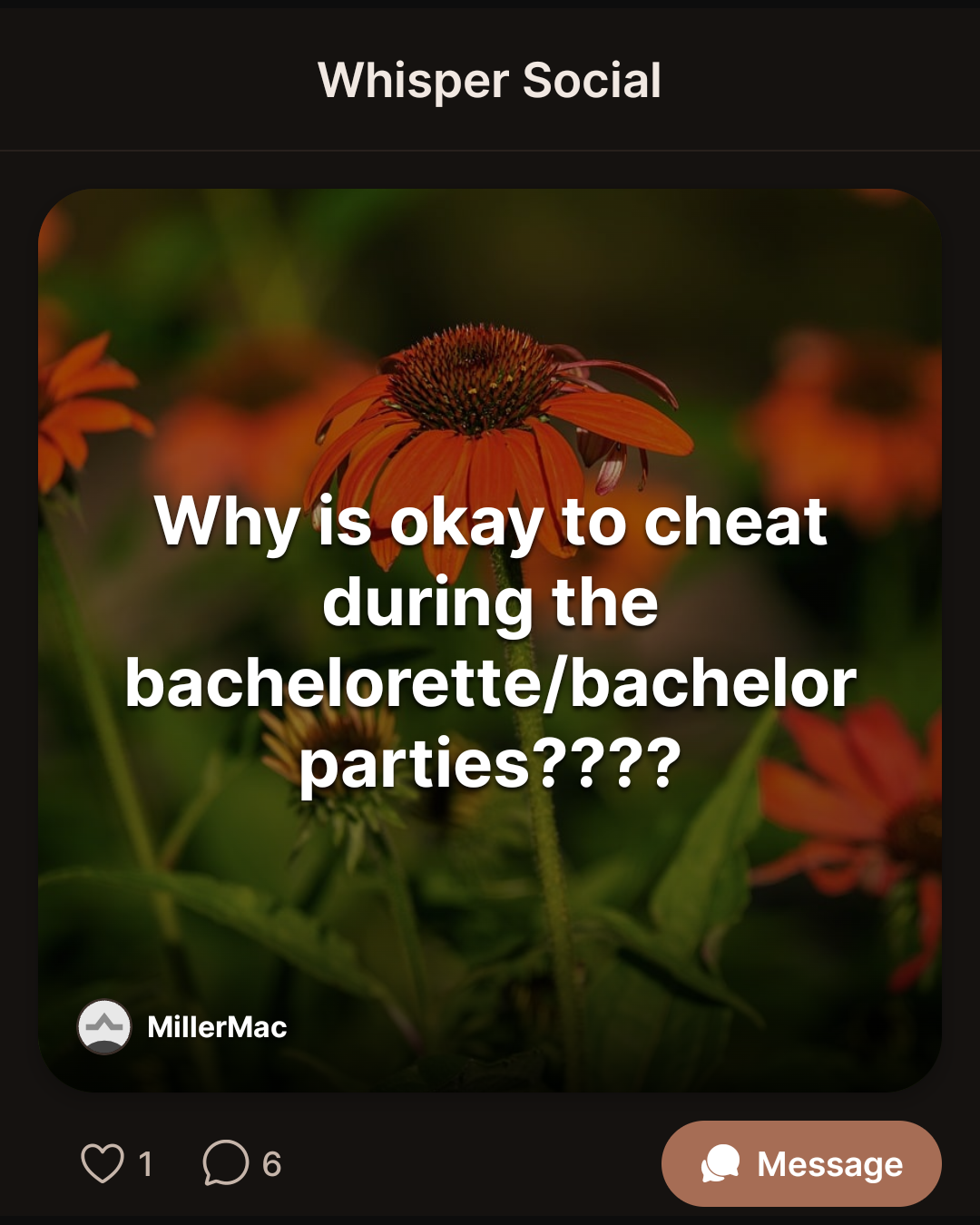 Why is okay to cheat during the bachelorette/bachelor parties????