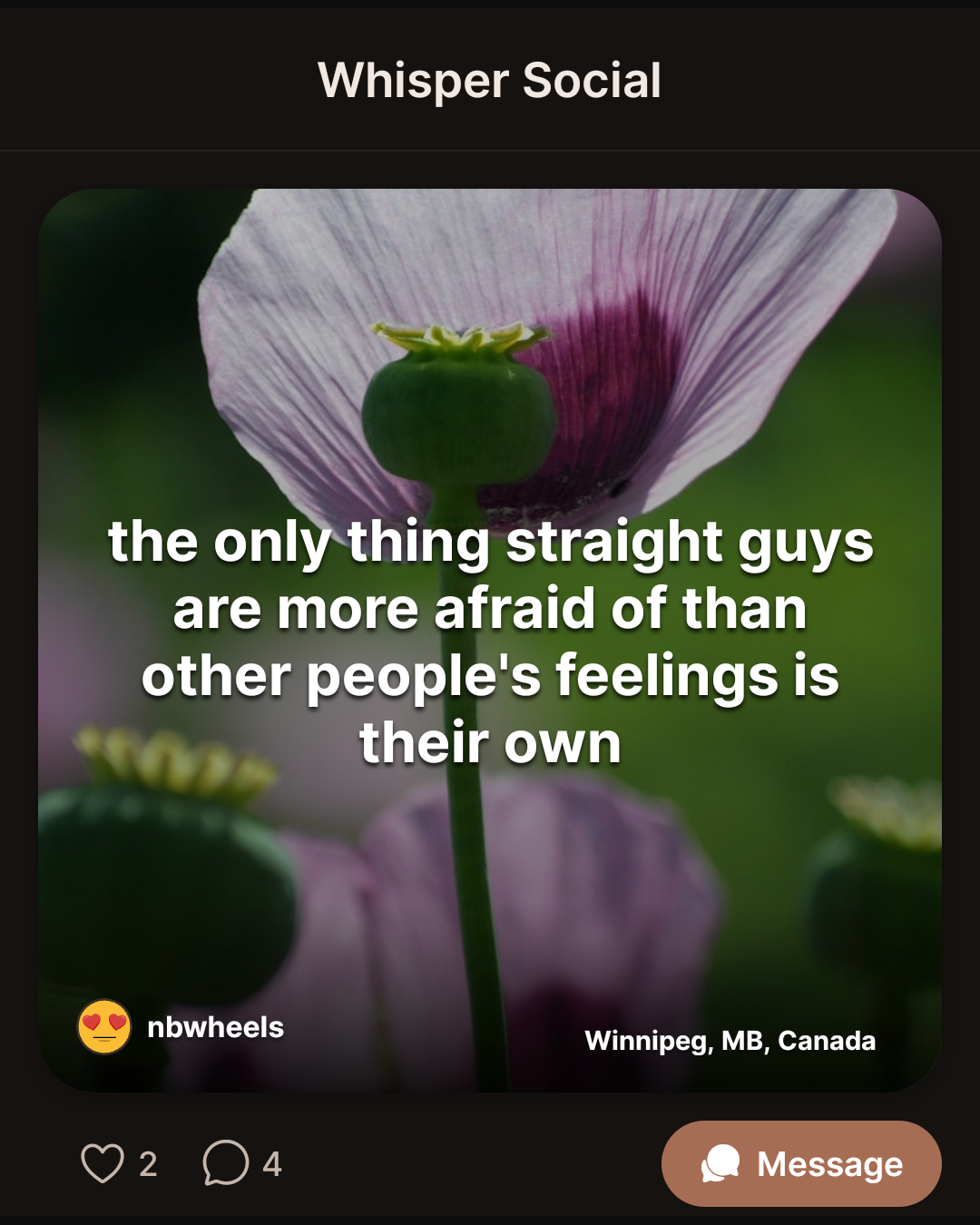 the only thing straight guys are more afraid of than other people’s feelings is their own