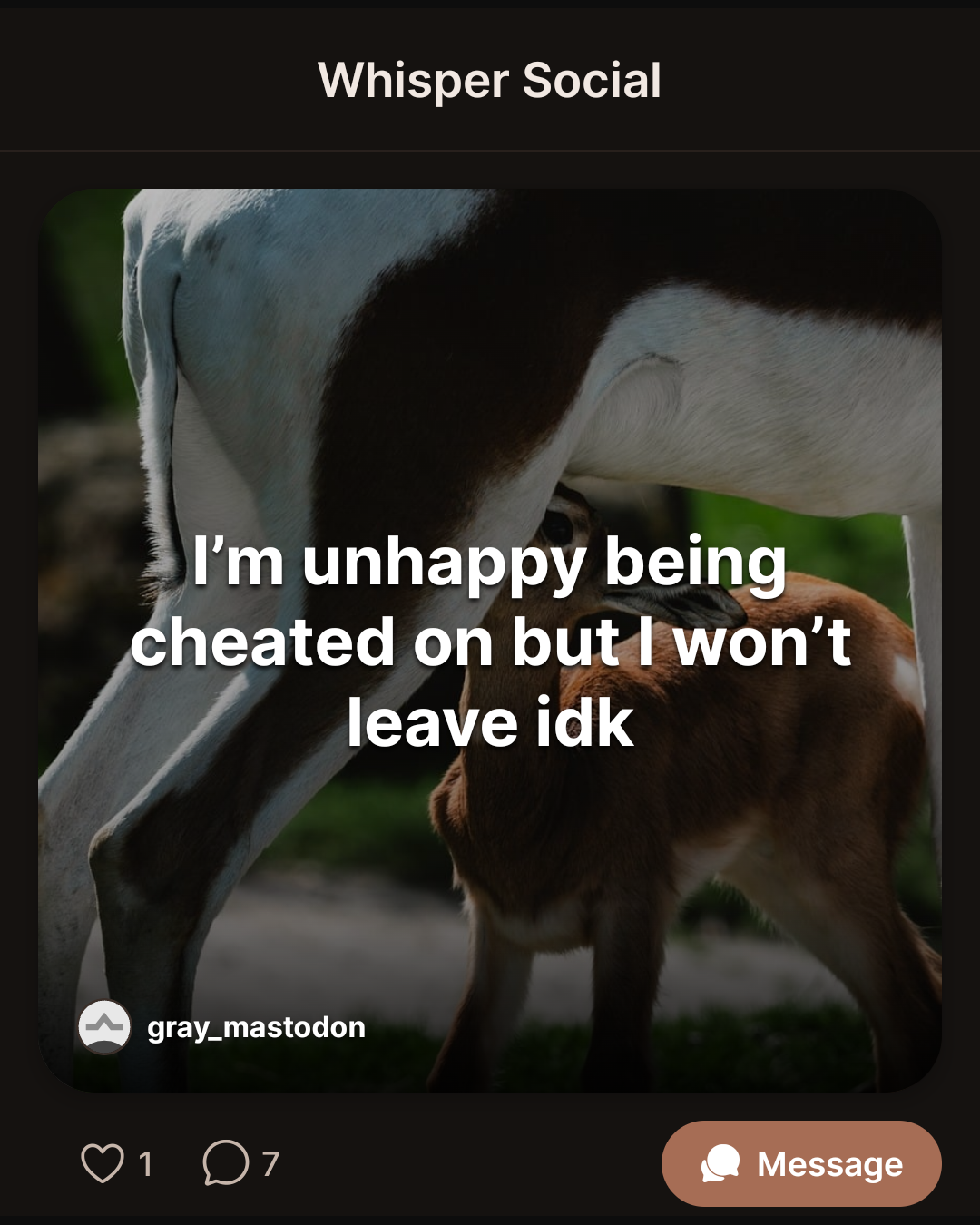 I’m unhappy being cheated on but I won’t leave idk
