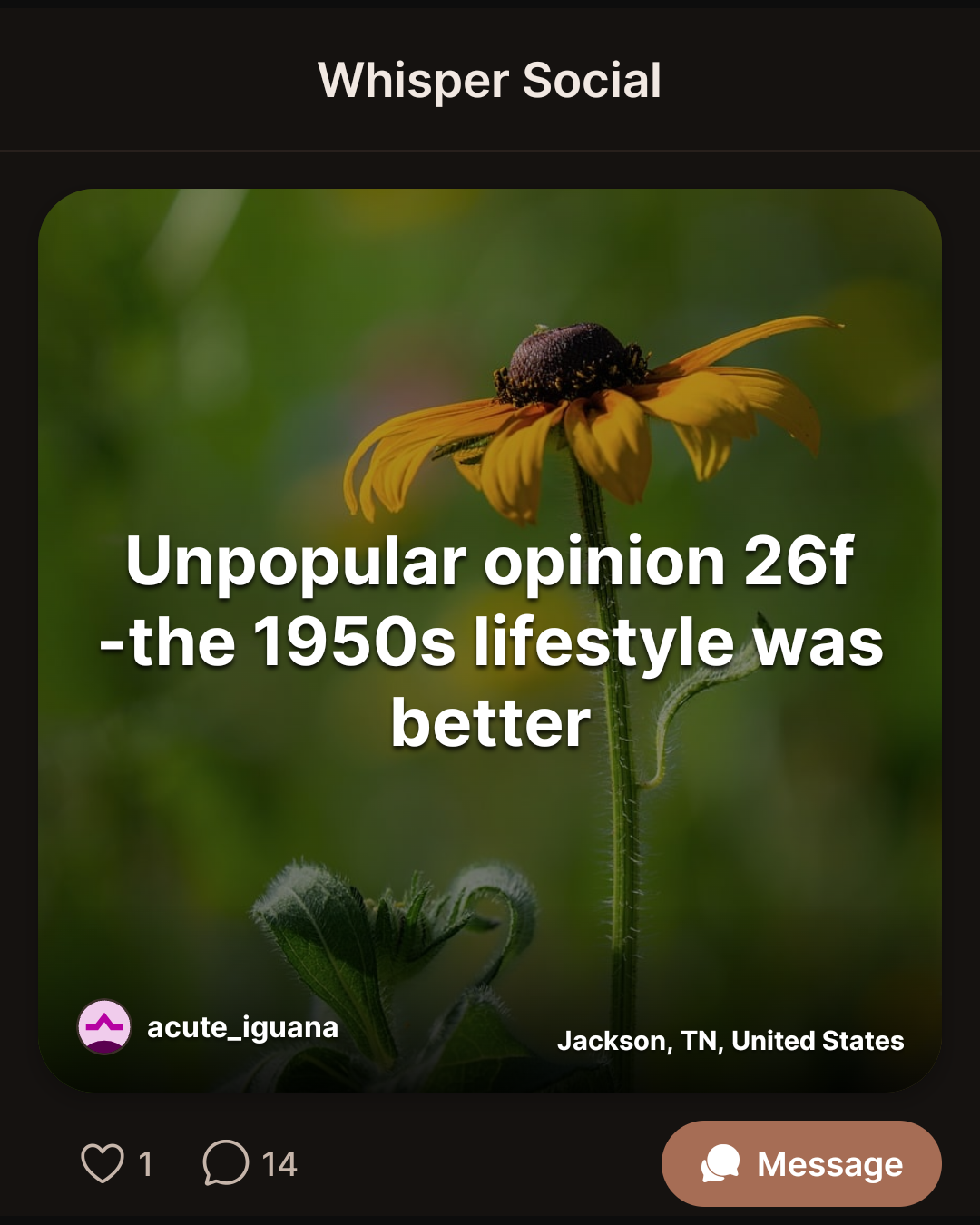 Unpopular opinion 26f -the 1950s lifestyle was better