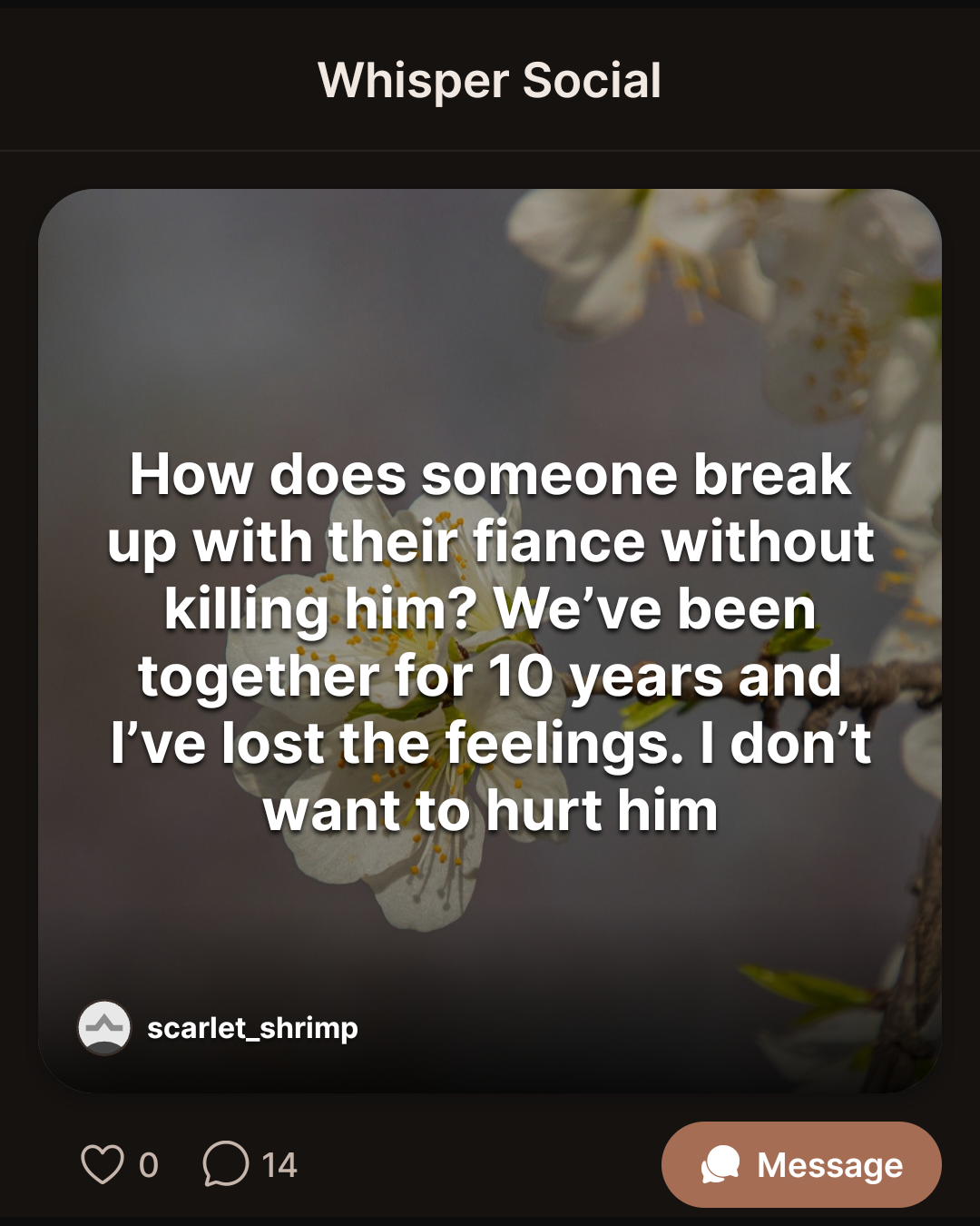 Whisper Social