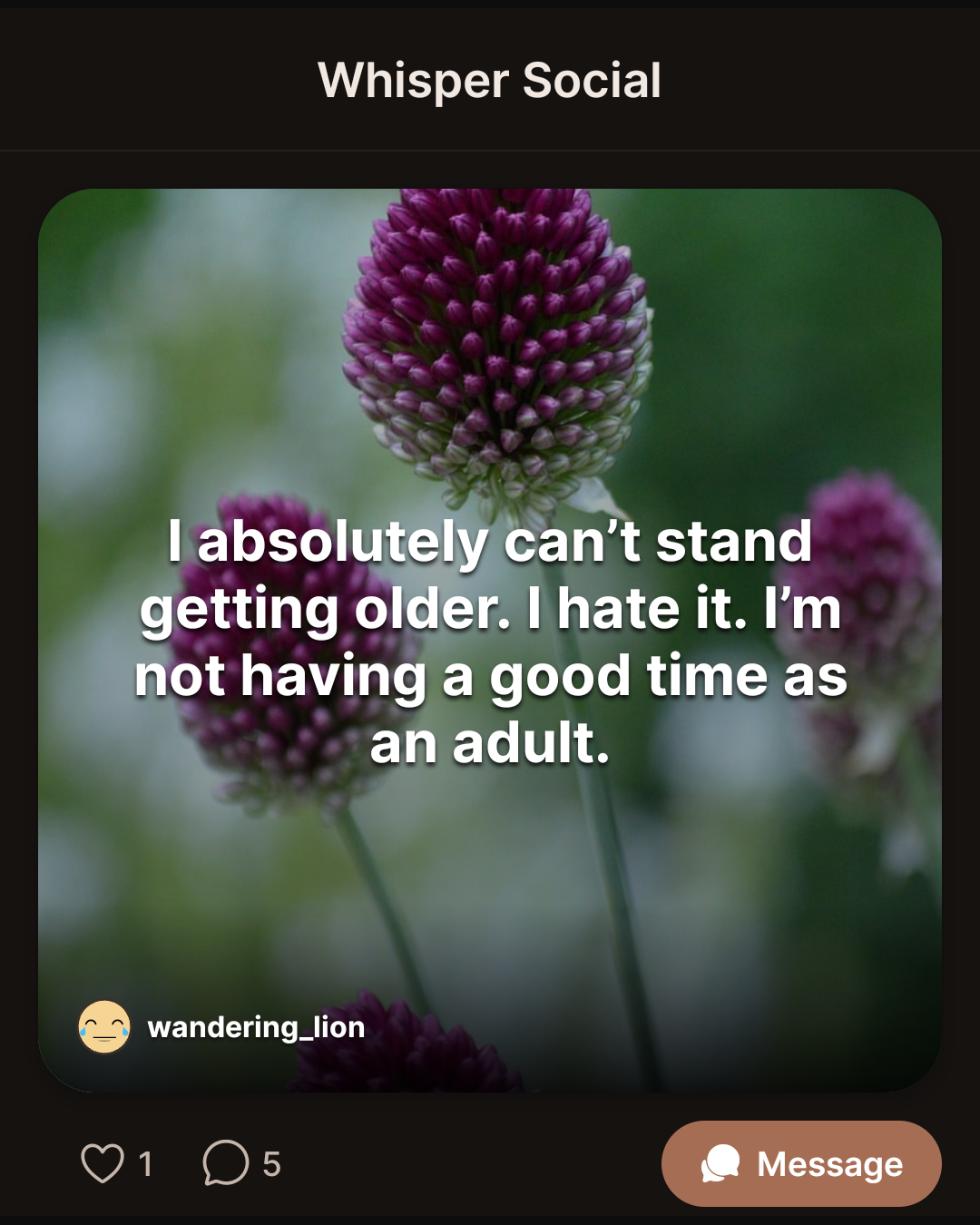 I absolutely can’t stand getting older. I hate it. I’m not having a good time as an adult.