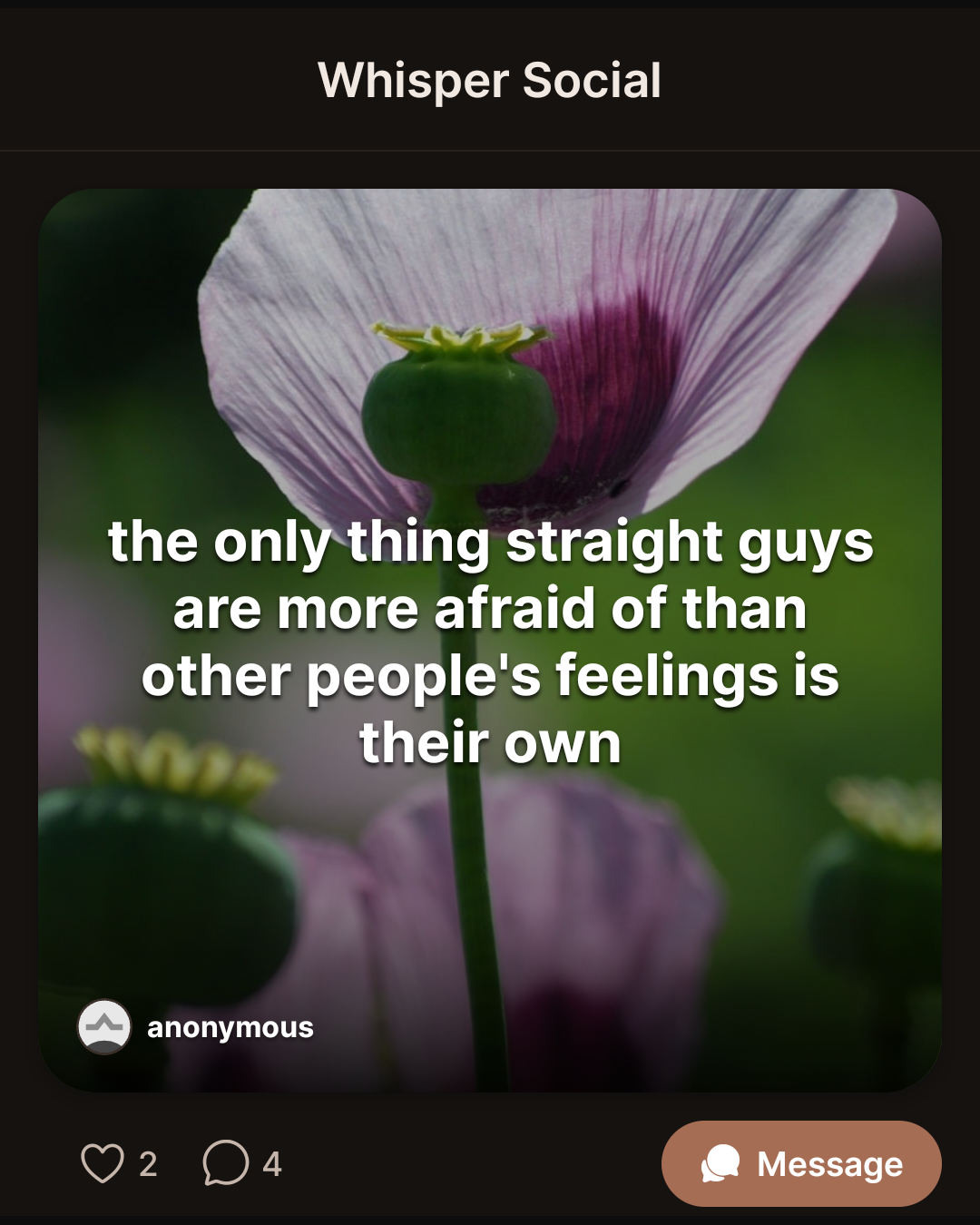 the only thing straight guys are more afraid of than other people’s feelings is their own