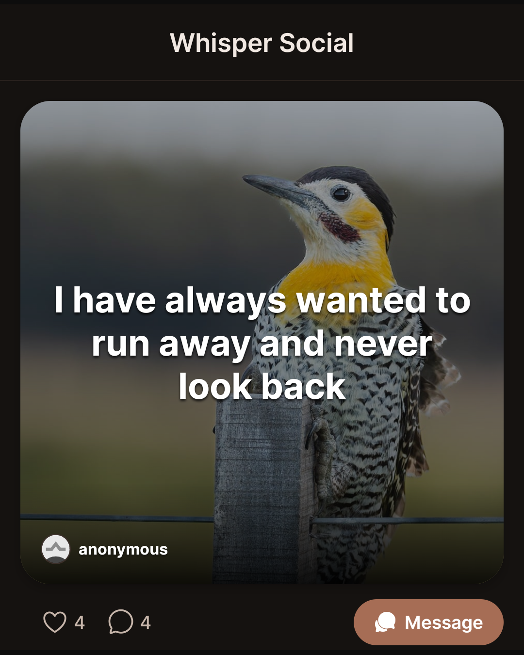 I have always wanted to run away and never look back