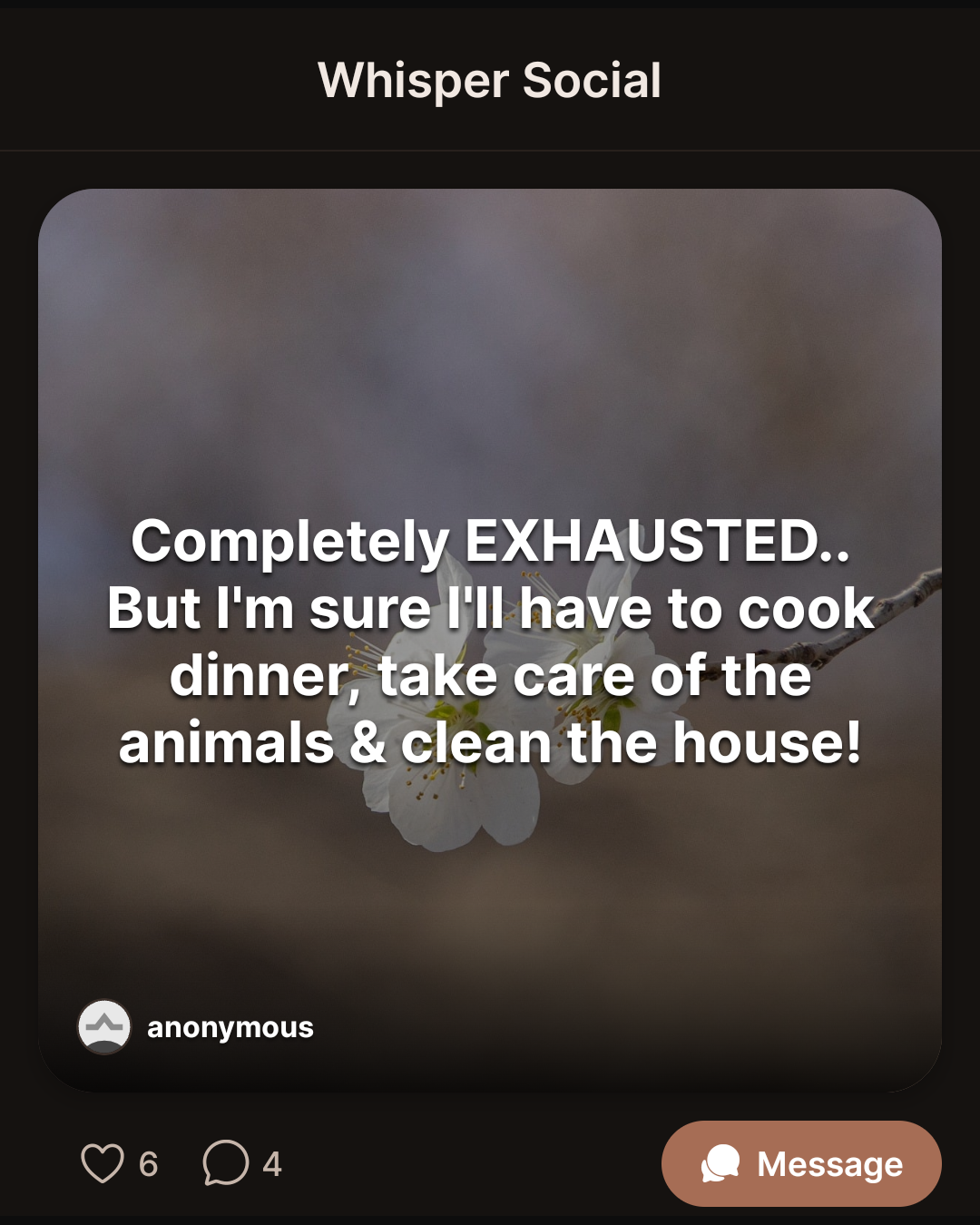 Completely EXHAUSTED.. But I’m sure I’ll have to cook dinner, take care of the animals & clean the house!