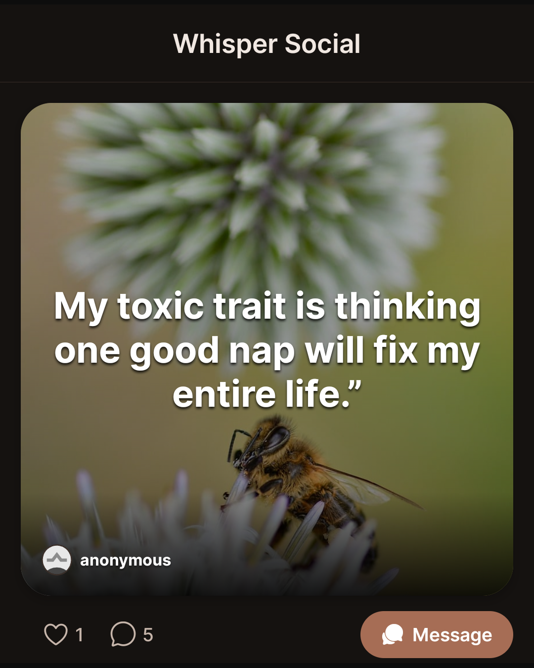 My toxic trait is thinking one good nap will fix my entire life.