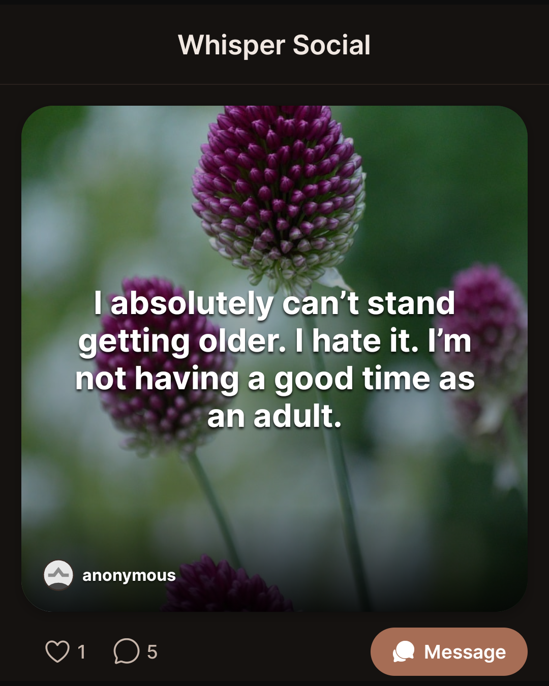 I absolutely can’t stand getting older. I hate it. I’m not having a good time as an adult.