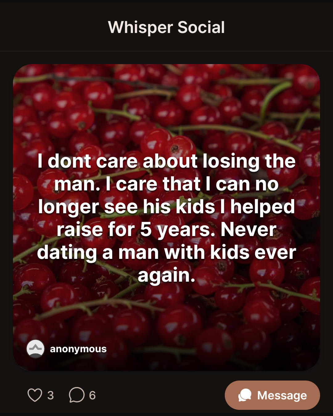 I dont care about losing the man. I care that I can no longer see his kids I helped raise for 5 years. Never dating a man with kids ever again.