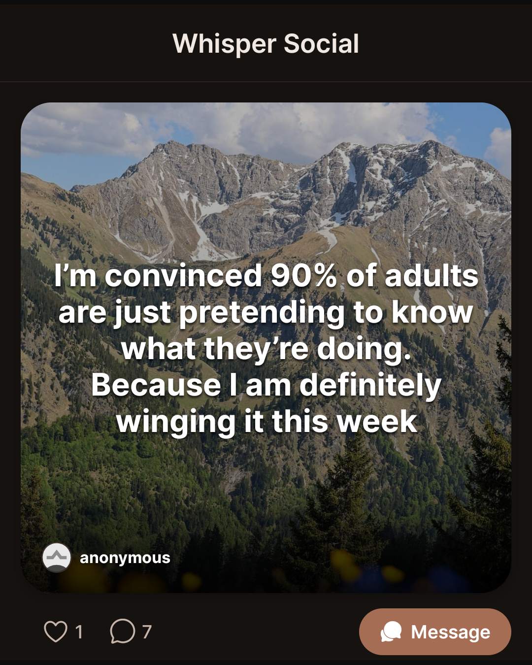 I’m convinced 90% of adults are just pretending to know what they’re doing. Because I am definitely winging it this week