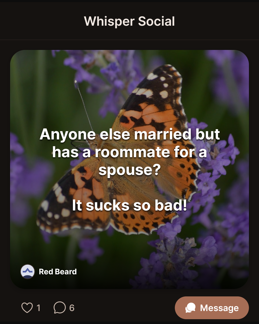 Anyone else married but has a roommate for a spouse? It sucks so bad!