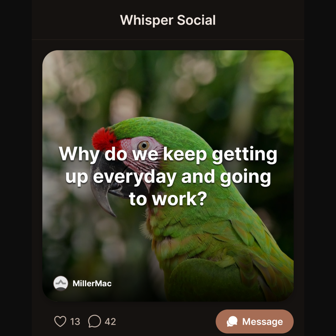 Whisper Social