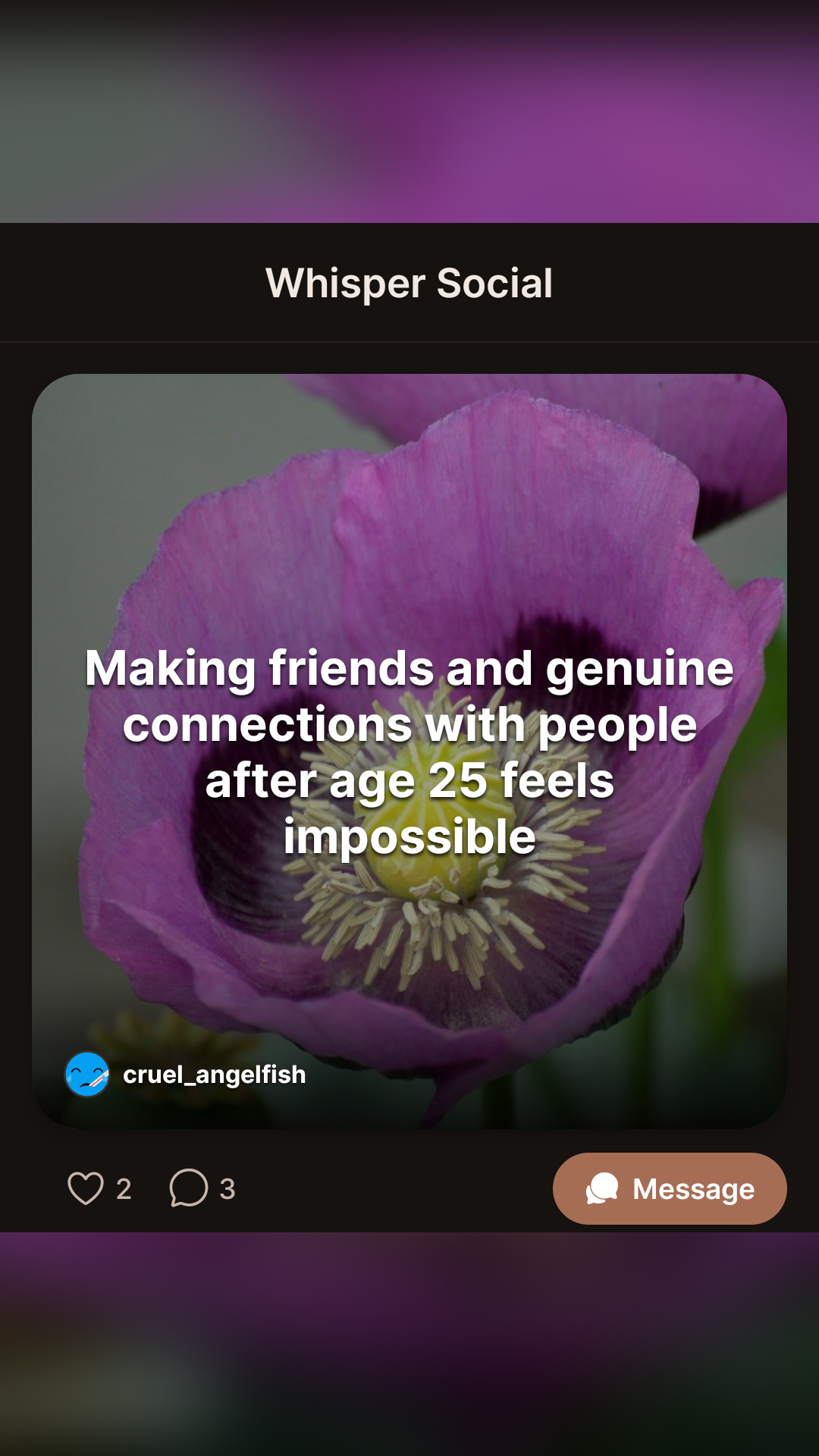 Whisper Social