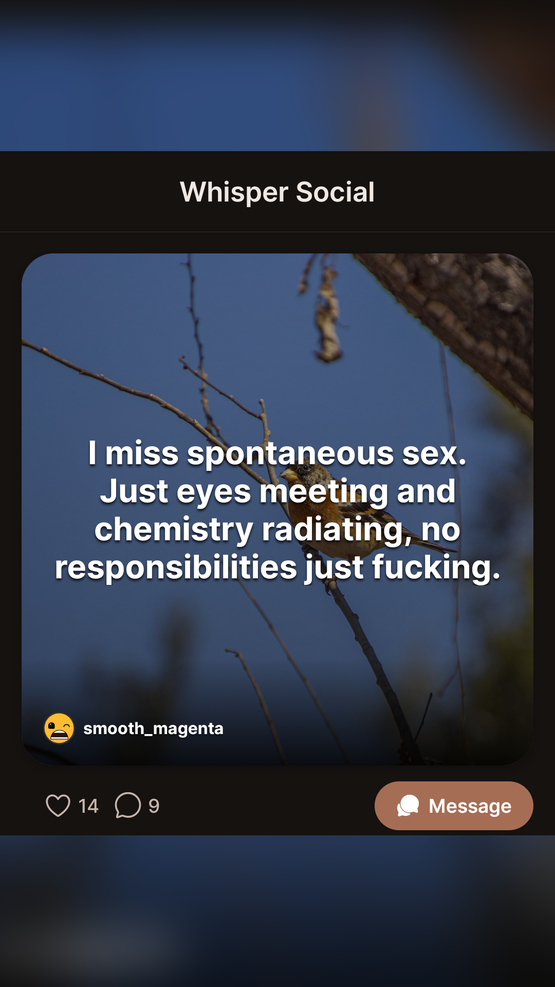 Whisper Social