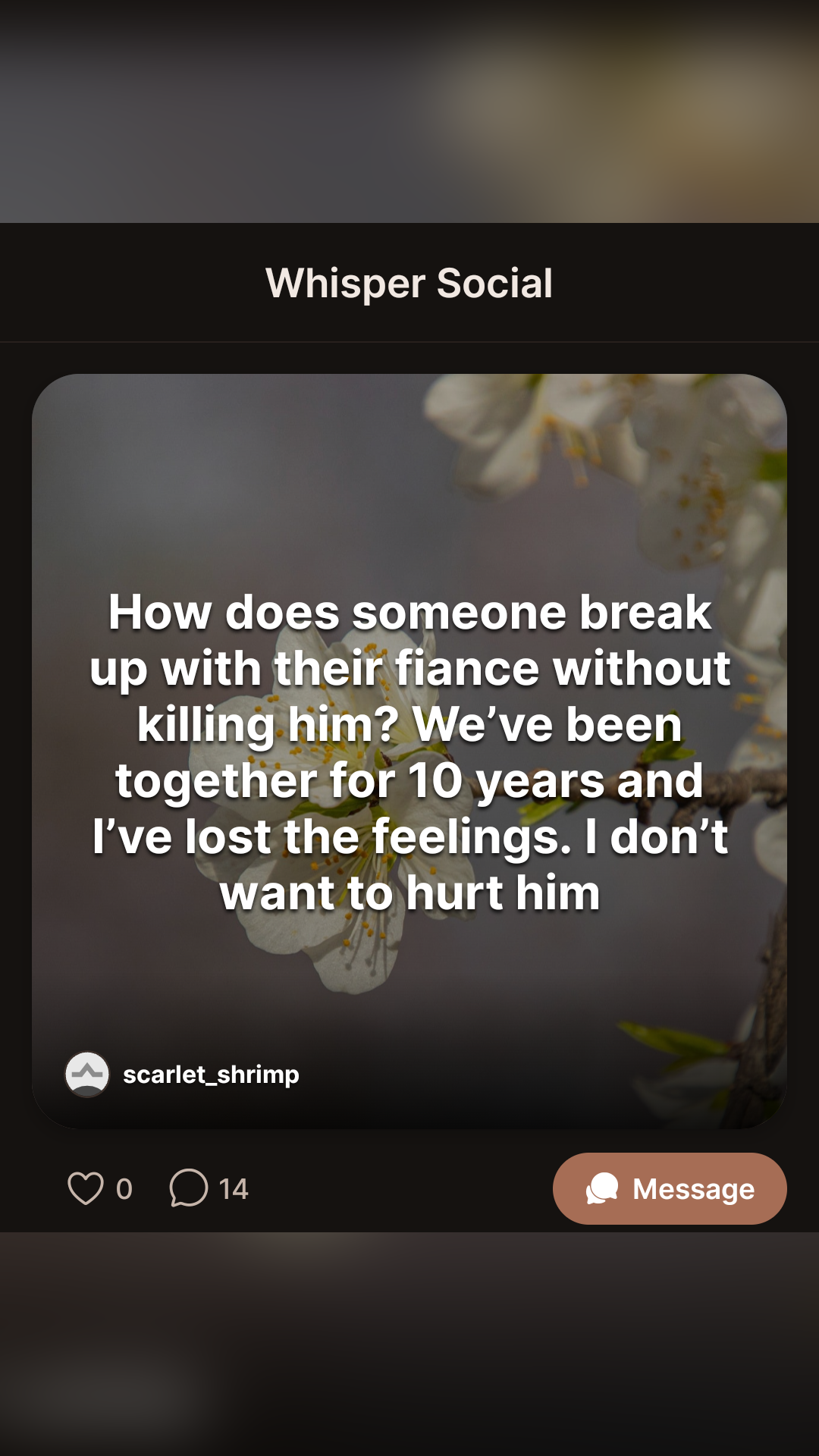 Whisper Social