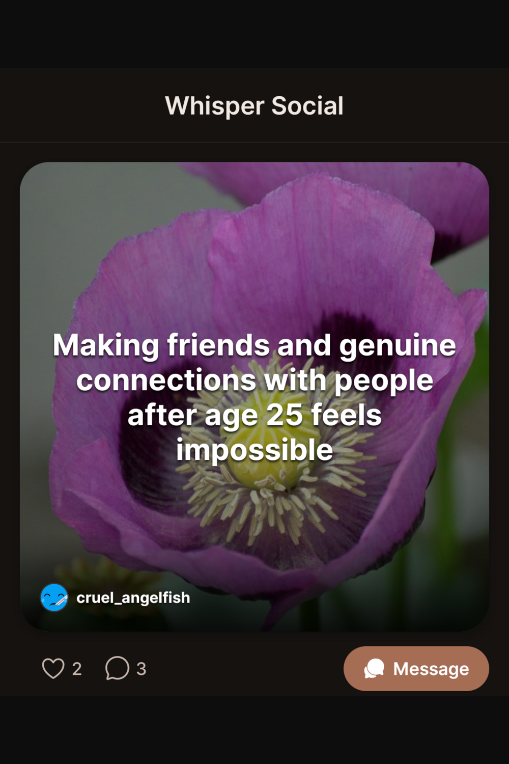 Whisper Social