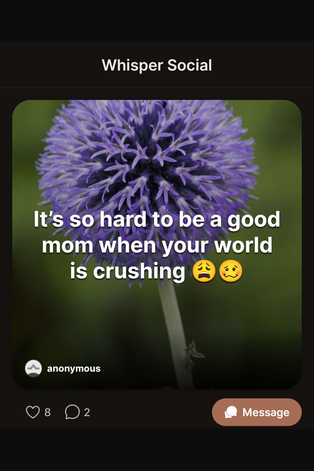 Whisper Social