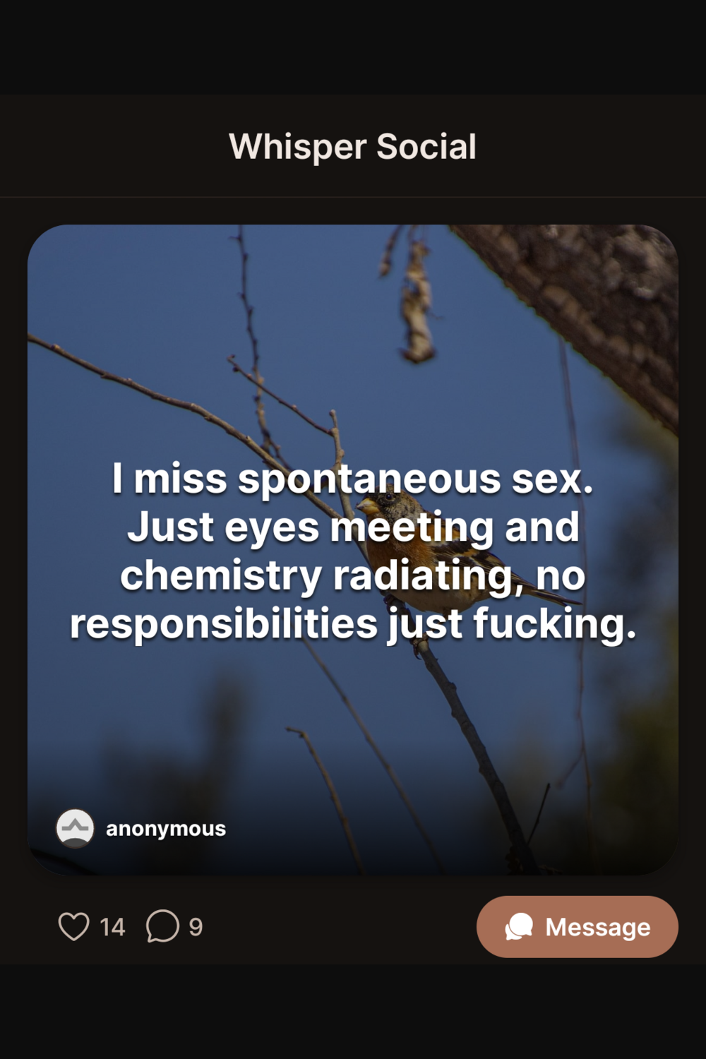 Whisper Social